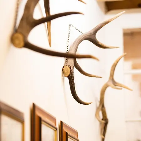 Sovi Dom- Historicke Z 19 Storocia, 4km Od Banskej Stiavnice * Svaty Anton